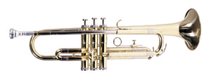 Lauren LTR100 Trumpet with Case